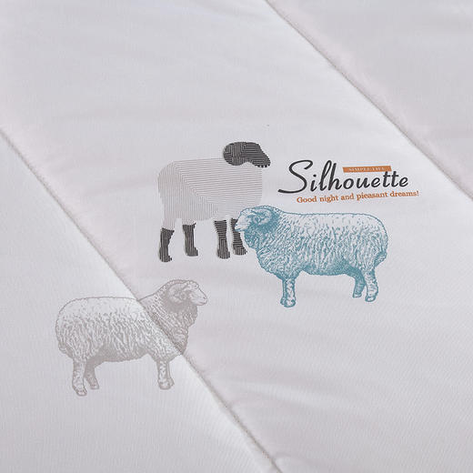 皇家寝室 纯新羊毛被200cm*230cm/2900g HJQS-BZ3988 商品图3