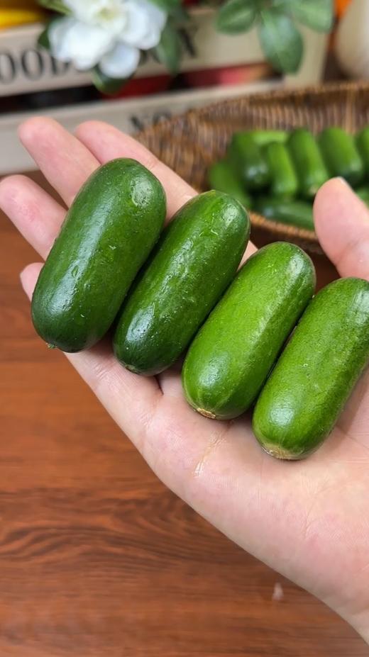 拇指黄瓜 清脆多汁 一口一根 超好吃 商品图3