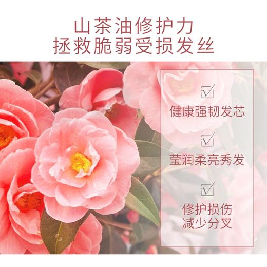 丝蕴 滋养修护洗发露680ml SY948858 商品图2