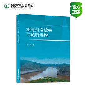 水电开发效率与适度规模