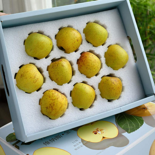 云南维纳斯香野丑苹果 脆甜爽口 汁水丰盈 商品图4