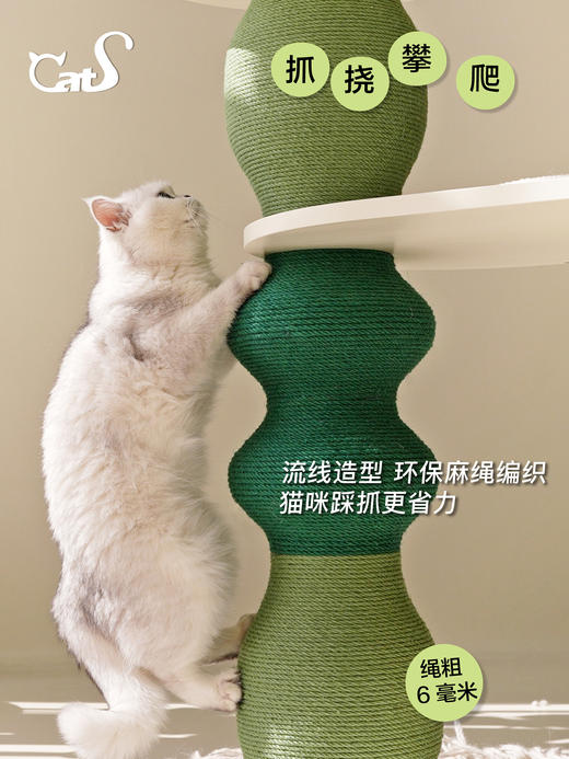 栖系列 小型实木猫爬架猫抓柱小猫窝新品麻绳款 商品图1