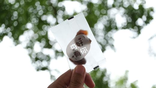 老石金杏干｜杏脯｜生态食材 0化学添加｜酸甜可口 好吃不腻｜茶点零食小吃｜顺丰包邮 商品图2