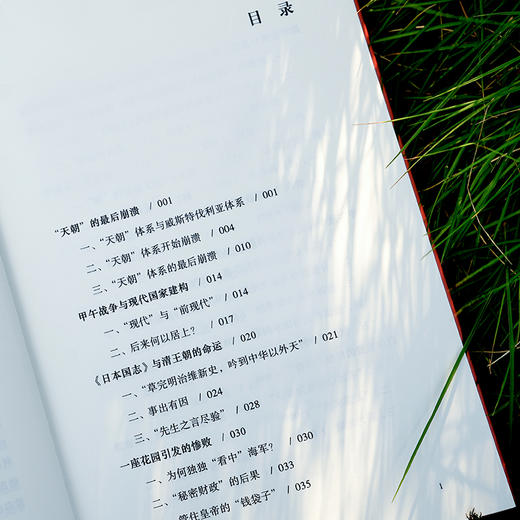 从甲午到辛亥：清王朝的最后时刻 商品图6