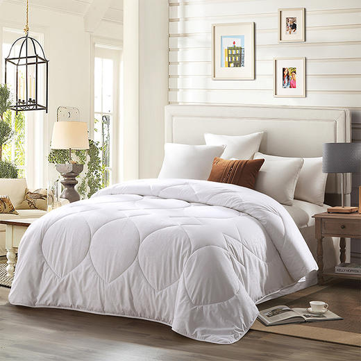 LOVO 经典蚕丝被 VQS2006-1 商品图0