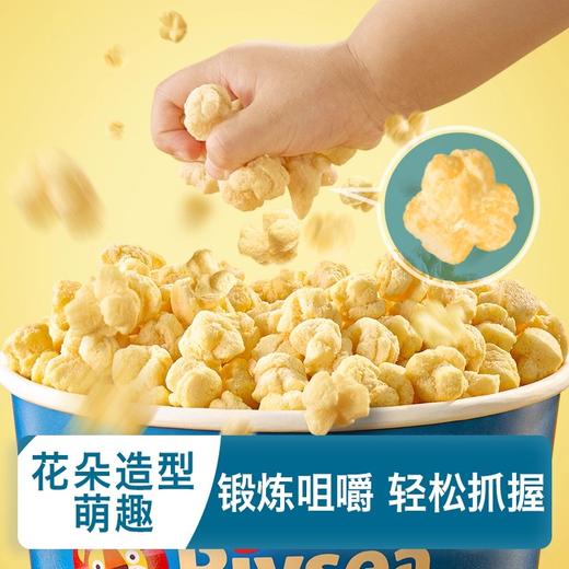 禾泱泱婴幼儿营养玉米花19g 商品图1