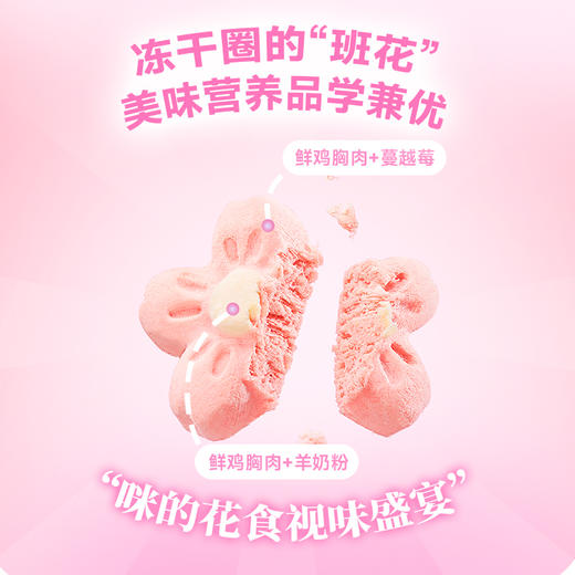 布兰德樱花鲜鲜全价猫冻干18g/盒 商品图3