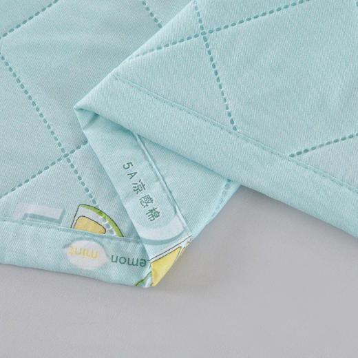 凤凰家纺 凤凰尚品凉感冰柔被150x200cm/700g FHJF-BZ2601 商品图4