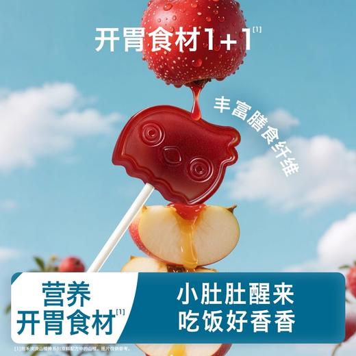 禾泱泱山楂棒48g/盒 商品图4