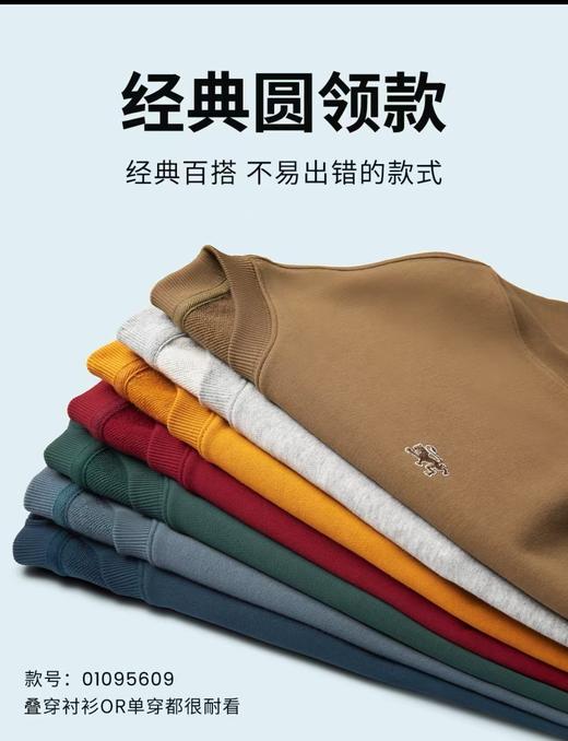 佐丹奴男装25年商场新款长袖棉质卫衣01095609 商品图4