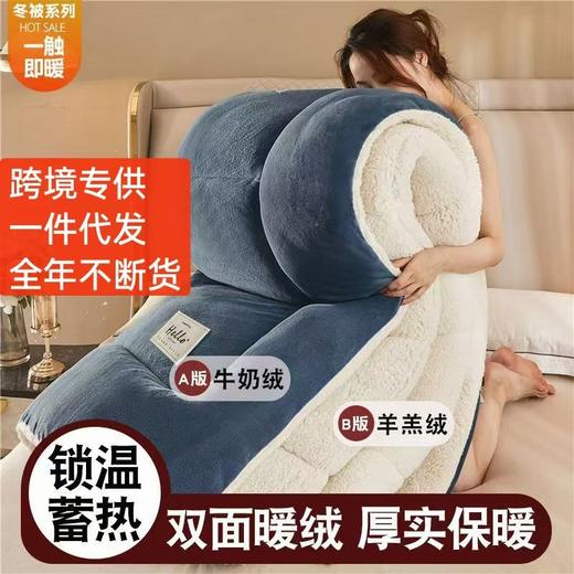 羊羔绒棉被被芯冬被双面绒加厚保暖学生宿舍单人被子 商品图1