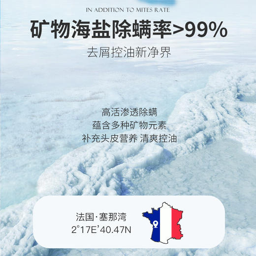 维特丝 氨基酸海盐洗发水500ml（白） VXL8183 商品图2