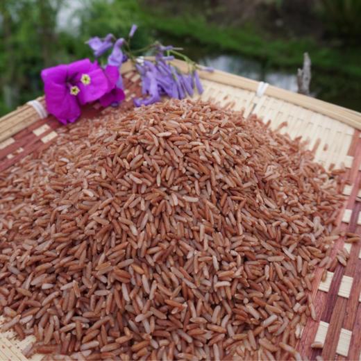 菜头商城 佤乡红软米 每袋净含量1公斤 商品图2