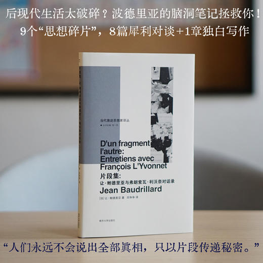 波德里亚全套14本 商品图10