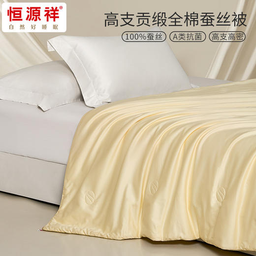 恒源祥 轻奢贡缎全棉蚕丝子母被璀璨星河200*230cm 6942394723124 商品图2