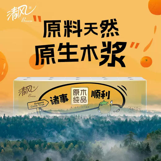 清风 金装无香手帕纸5张10包*2条 B0JP10B-02T 商品图4