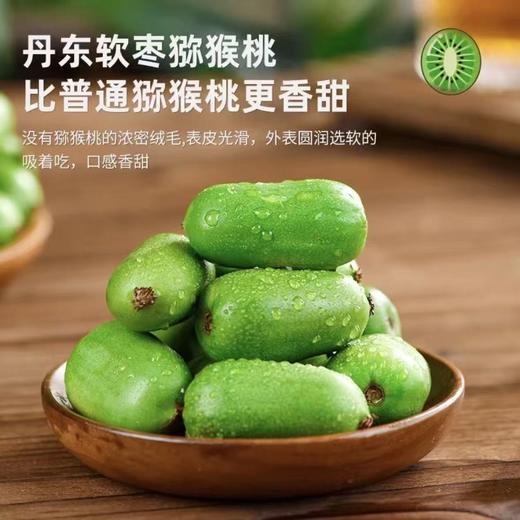 【丹东软枣猕猴桃】新鲜采摘 外表圆润选软的 吸着吃 口感香甜 商品图2