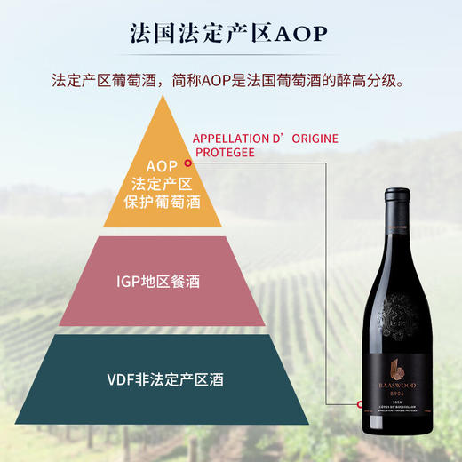 首彩 百事活B906红葡萄酒15度 750ml*6整箱装 法国·AOP原瓶原装进口 自饮宴会伴手礼 商品图4