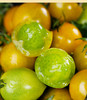 【山东双色小番茄】皮薄肉厚 酸甜可口 颗颗爆汁 2斤/3斤装 商品缩略图2