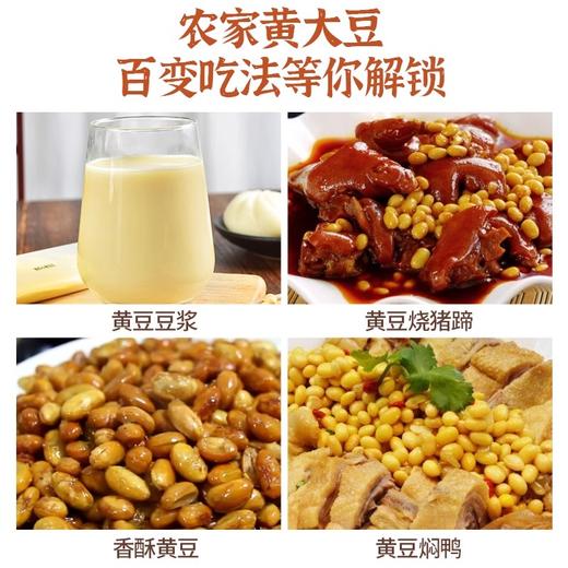 人民 农家黄大豆420g 商品图3