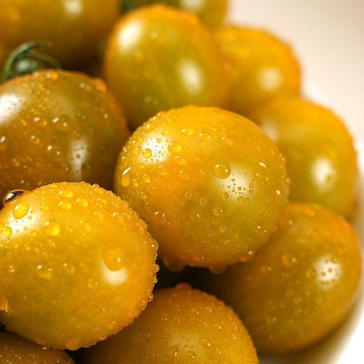 寿光    糖珀琥小番茄 商品图3