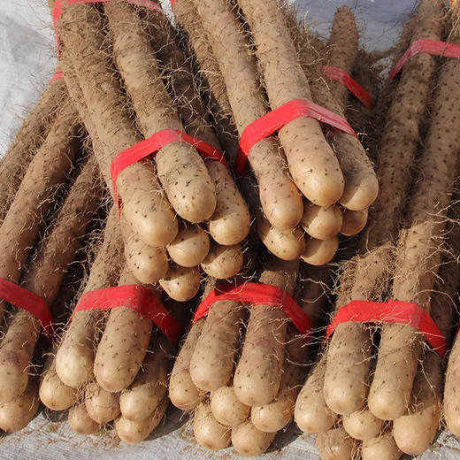 小白嘴 铁棍山药 5斤 皮薄细腻 商品图2