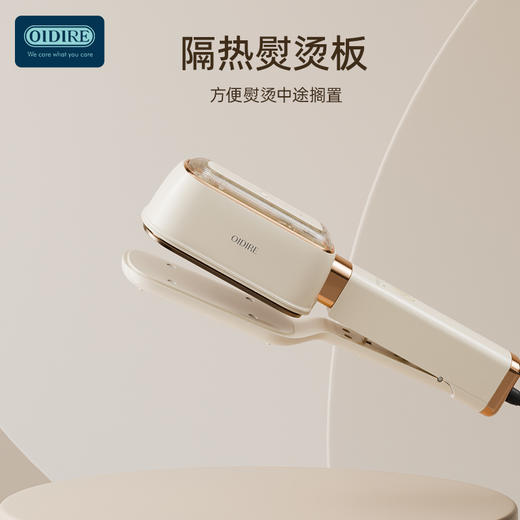 【三合一熨烫机】OIDIRE手持式挂烫机ODI-GT06 三档干湿模式夹烫/挂烫/平烫 180°旋转烫  60ml水箱 1000W速热大功率 170°C高温蒸汽 商品图1