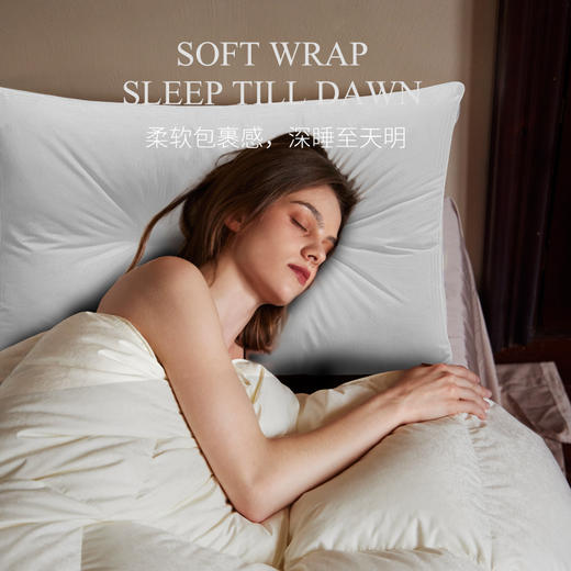 【加倍生活】ICE QUEEN 轻托护颈复合枕 商品图1