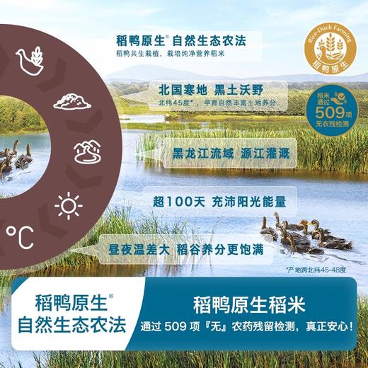 禾泱泱稻鸭原生夹心米饼32g/盒 商品图2