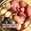 生态多色高原土豆（基地直发-韵达包邮） | 多种规格，来自云南香格里拉，生产者：李忠青【合作生产，公平贸易】 商品缩略图0