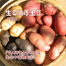 生态多色高原土豆（基地直发-韵达包邮） | 多种规格，来自云南香格里拉，生产者：李忠青【合作生产，公平贸易】