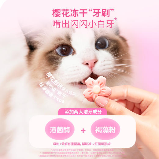 布兰德樱花鲜鲜全价猫冻干18g/盒 商品图1