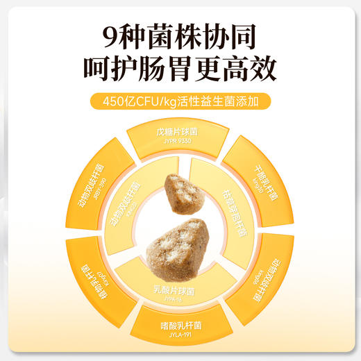 【鲜肉奶酪烘焙粮】宽福 长肉健康双协同 三重成分护肠胃 三重专利助消化 三重乳品益自护 三重工艺利吸收 猫粮 商品图2