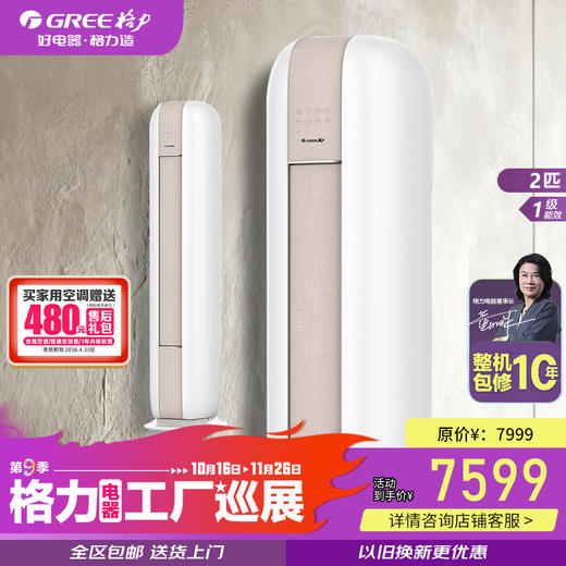 GREE格力 时光绘 2匹/3匹 新一级能效 变频冷暖  柜机空调  (文艺灰/经典米） 商品图2