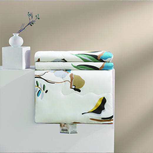 洁丽雅 印花抗菌被-朝花惜拾 CP1219 商品图2