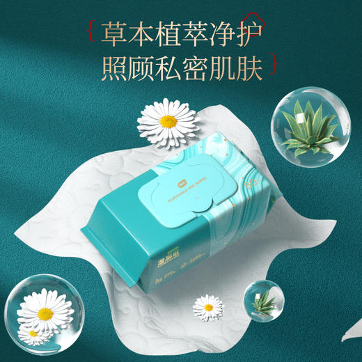 植护 青黛湿厕纸80片*3包 zhs80p3b 商品图4