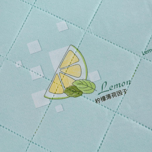 凤凰家纺 凤凰尚品凉感冰柔被150x200cm/700g FHJF-BZ2601 商品图3