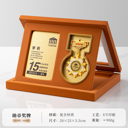 奖章勋章徽章奖牌定制奖杯退休毕业周年纪念优秀员工荣誉纪念章 商品图5