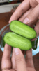 拇指黄瓜 清脆多汁 一口一根 超好吃 商品缩略图2