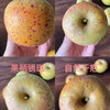 云南维纳斯香野丑苹果 脆甜爽口 汁水丰盈 商品缩略图6