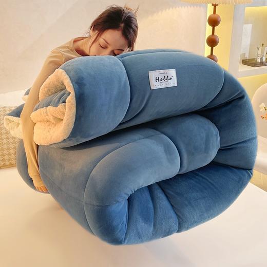 羊羔绒棉被被芯冬被双面绒加厚保暖学生宿舍单人被子 商品图3