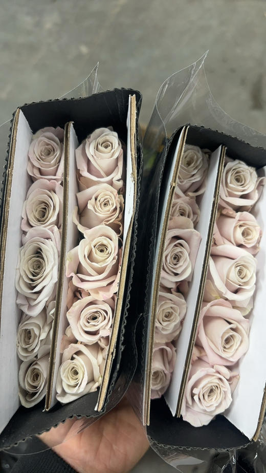 花木里曼塔 商品图1