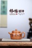 锦绣德钟紫砂壶 商品缩略图0
