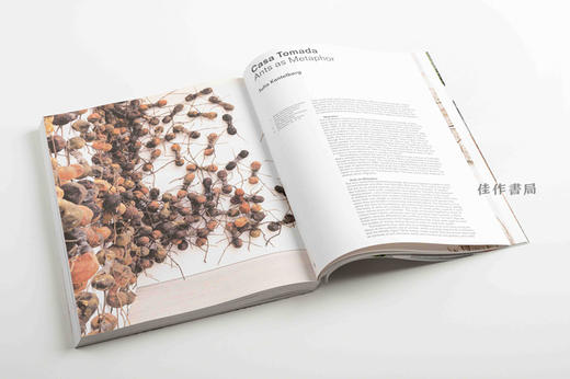 Crawly Creatures: Depiction and Appreciation of Insects and Other Critters in Art and Science / 爬行小生 商品图3