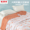 恒源祥 A类抗菌大豆夏被琅光200*230cm 6942394721779 商品缩略图2
