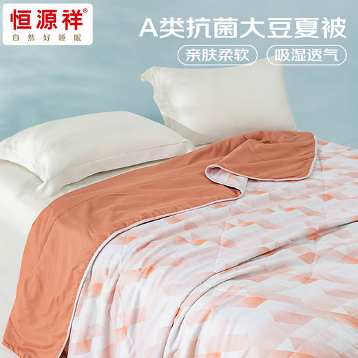 恒源祥 A类抗菌大豆夏被琅光200*230cm 6942394721779 商品图2