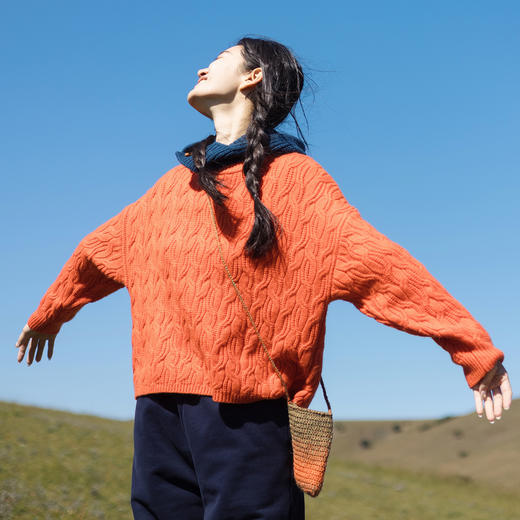 特绽放653朵/麻花毛衣·走锭全羊毛绞花粗棒针落肩套头毛衣女新款 商品图1