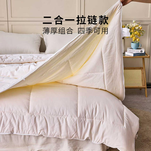 【会员礼】多喜爱 云棉大豆拉链款子母被-纤柔 【全棉面料】【60S缎纹】【大豆纤维】【拉链设计】提花工艺 精美烫钻 分区绗缝 不跑绵 蓬松保暖  加厚填充 商品图4