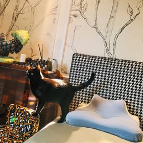 [屁侠推荐]京帝 多功能记忆棉趴趴枕  一枕多用 床上多功能枕 俯卧位趴枕 睡觉看书枕 3色可选