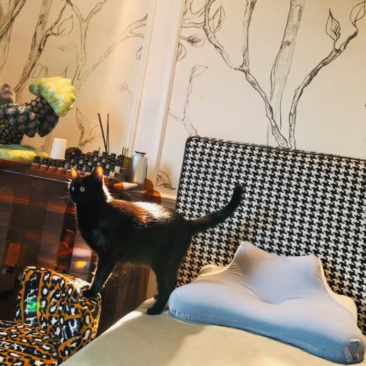 [屁侠推荐]京帝 多功能记忆棉趴趴枕  一枕多用 床上多功能枕 俯卧位趴枕 睡觉看书枕 3色可选 商品图0